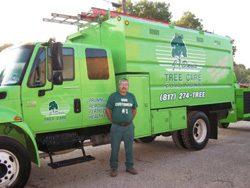 Tree Trimming Colleyville 