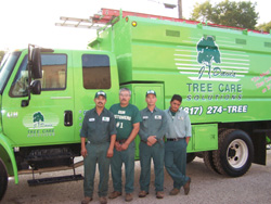 Weatherford Tree Care Services. Tree Care in the Fall