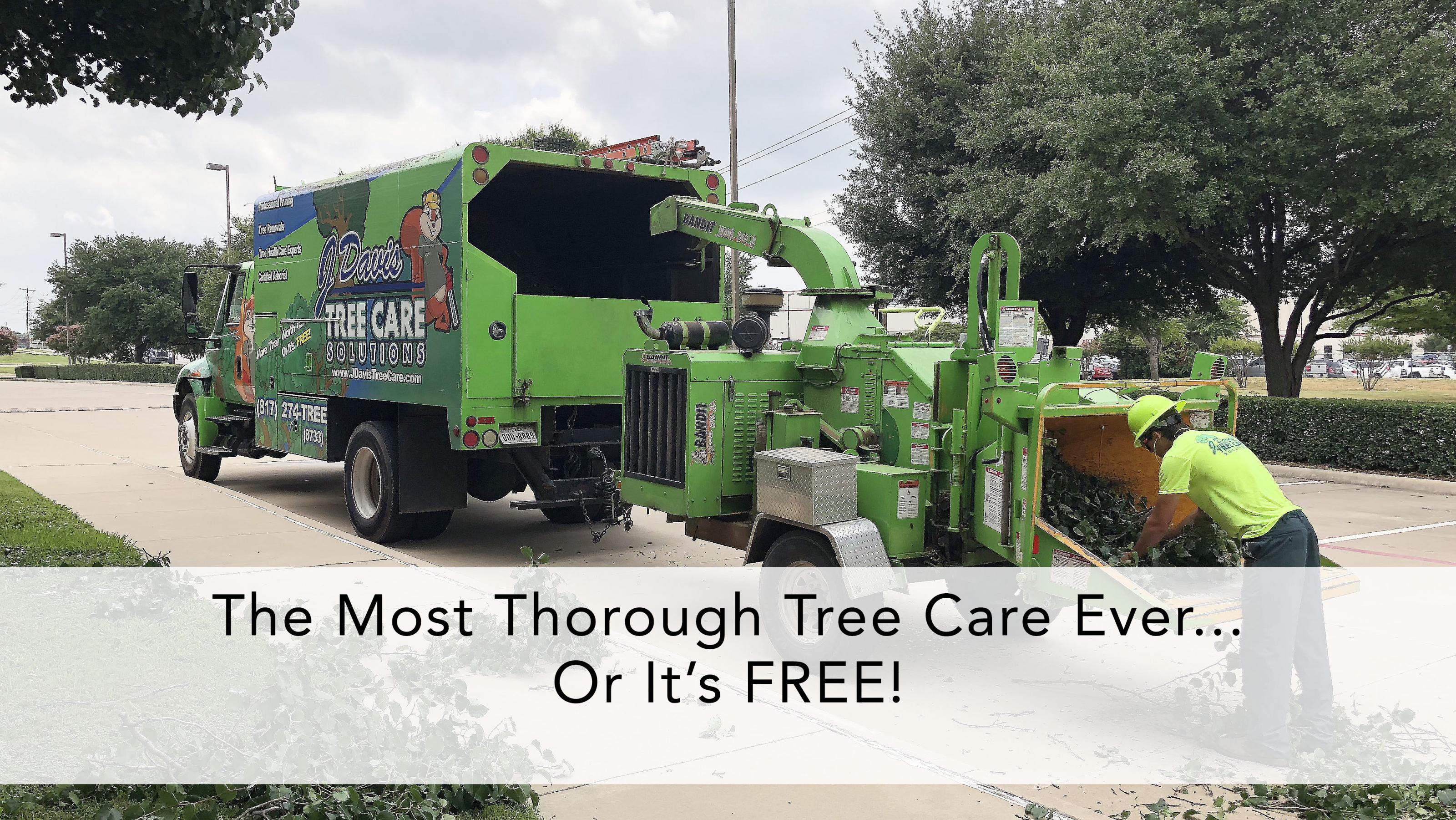 Residential Tree Care Services In Southlake