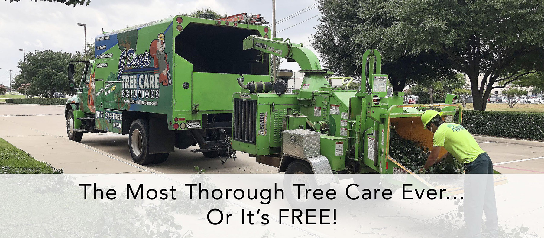 Keller, TX Tree Care. Why Spring Needs Lots of Work