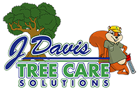 J Davis Tree Care Solutions - Professional Tree Service Fort Worth TX